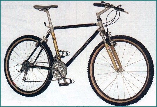 93_peugeot_team.jpg ht=368