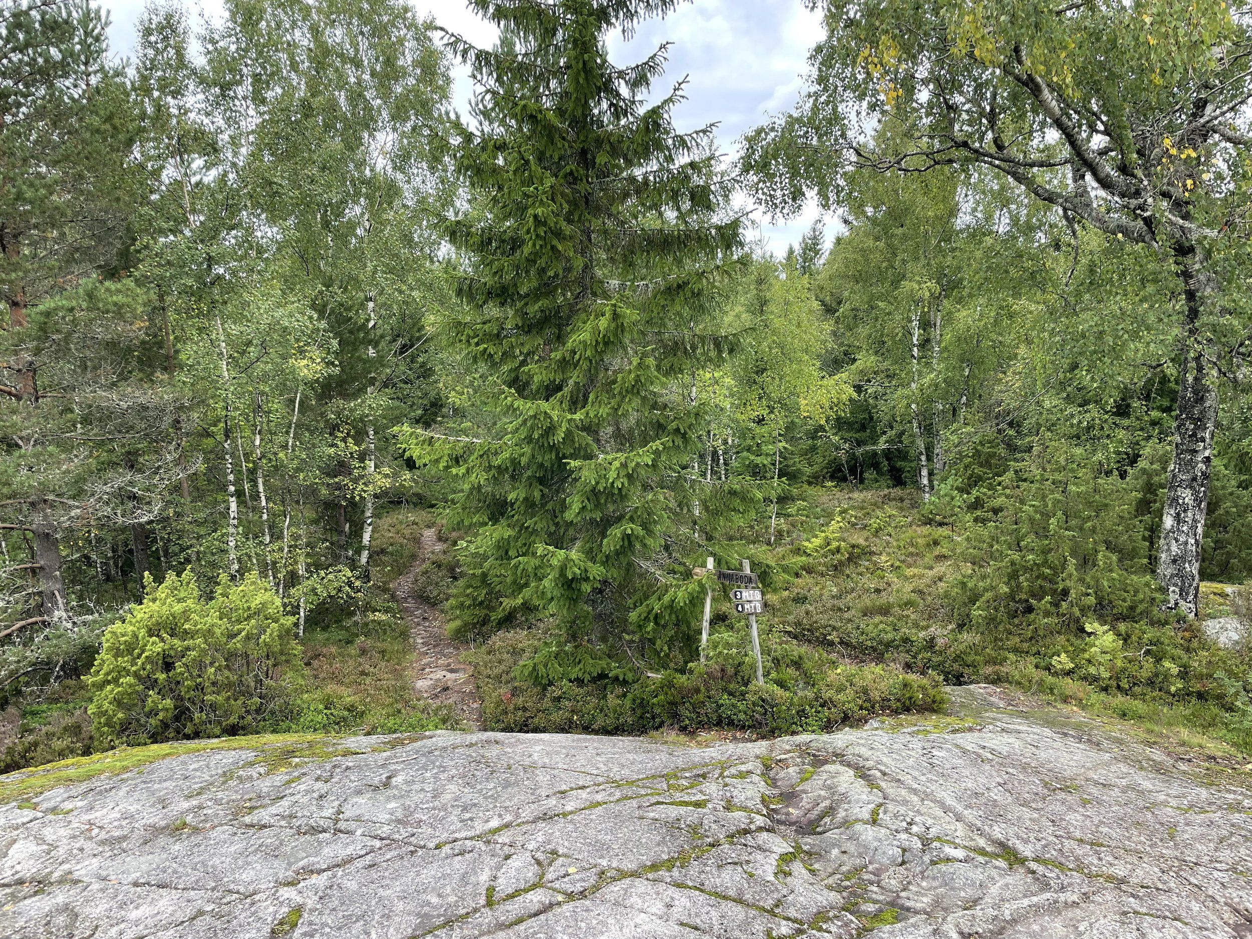 95524903-8F01-4427-A391-2B54131C3FA1.jpeg