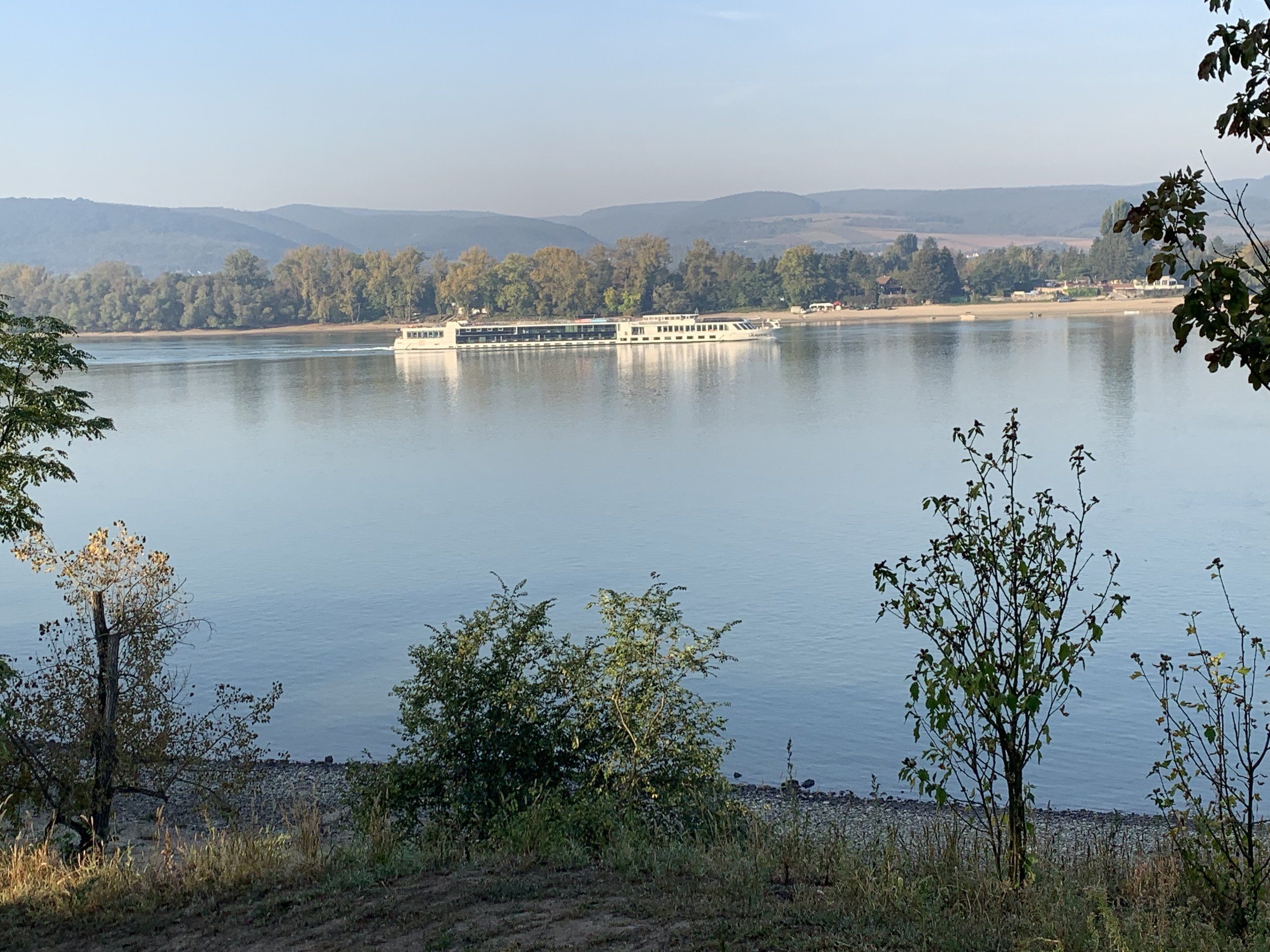 95F426D6-82F9-4444-AB73-2E460853F102.jpeg