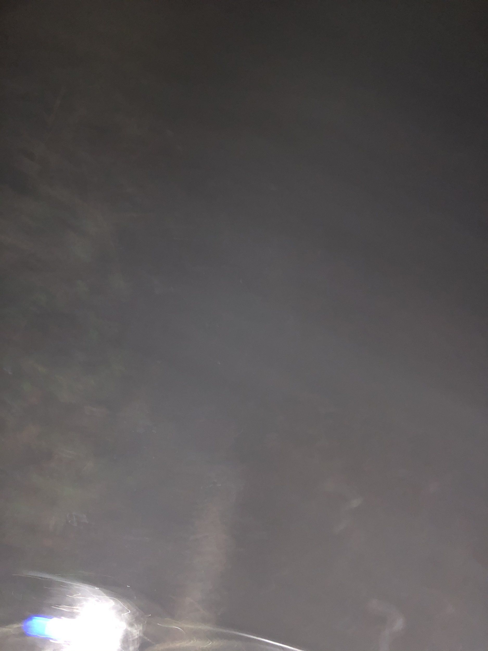 99B4D288-7289-4C7F-8ECA-822F5C728616.jpeg