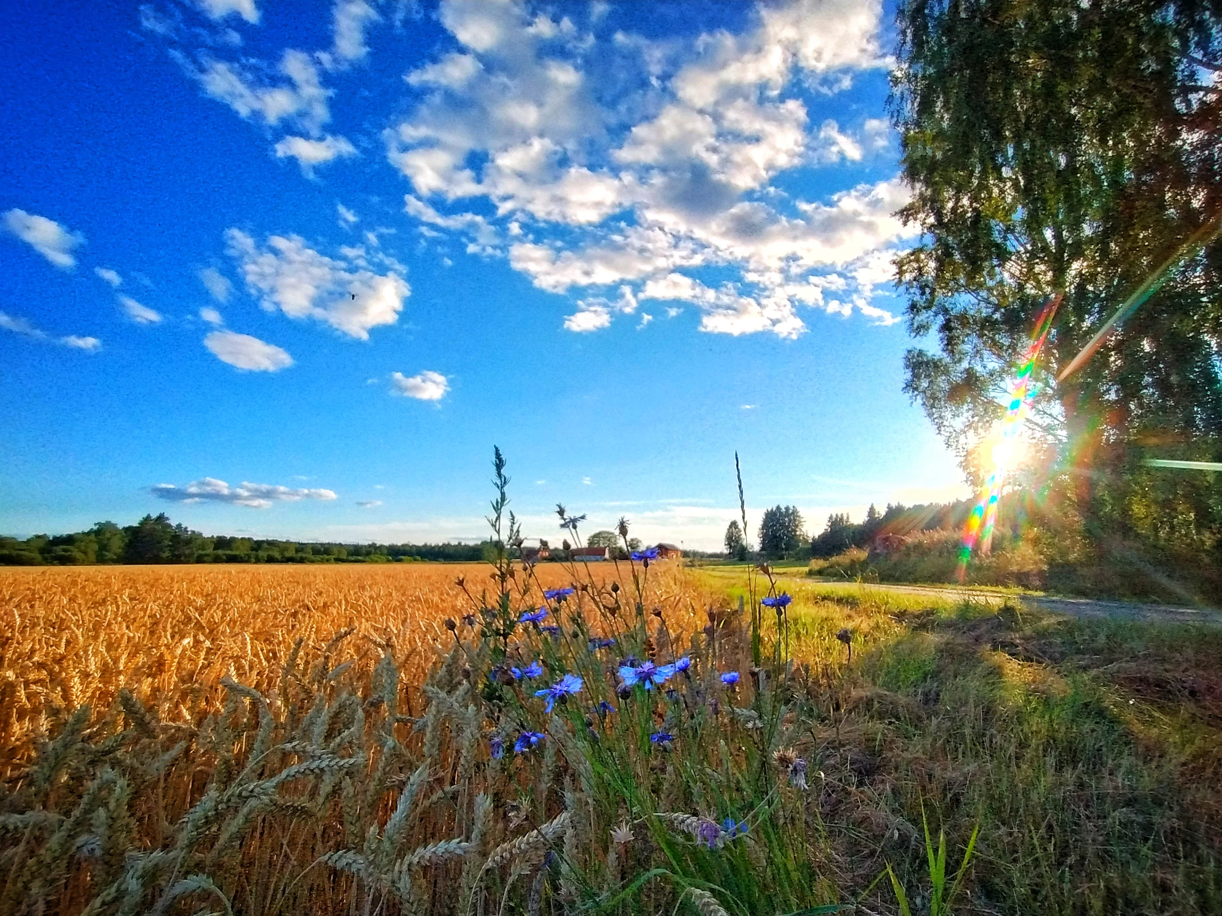 9a236293-3f44-4060-bed6-a4b8809e78c0.webp
