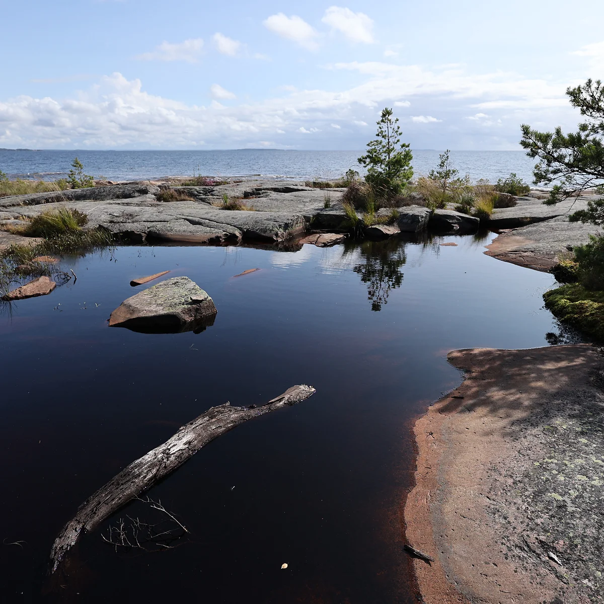9C7A1407_1200.webp