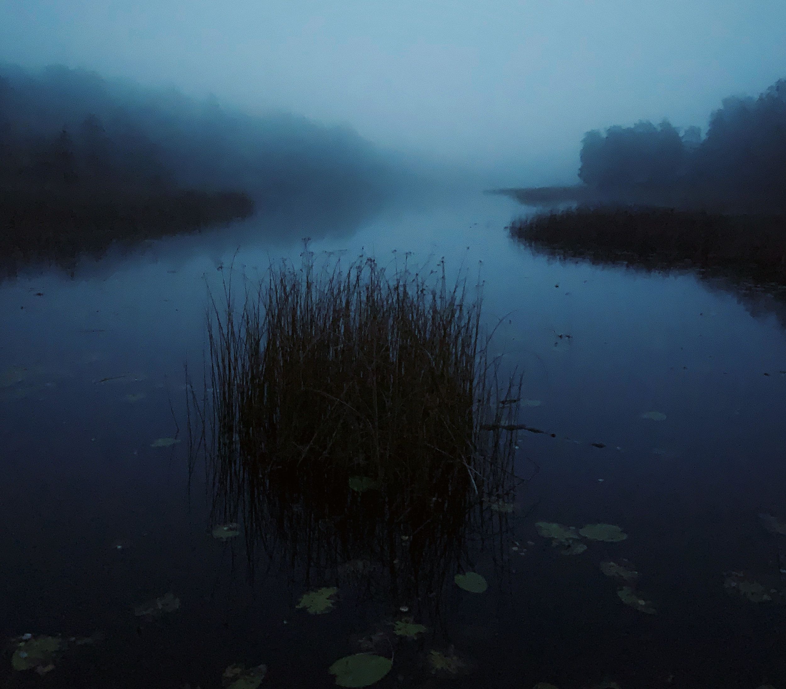 9DC55954-51AC-47DF-962D-FF5465B858CE.jpeg