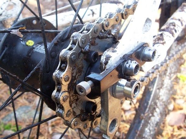 _100_9081.JPG ht=456