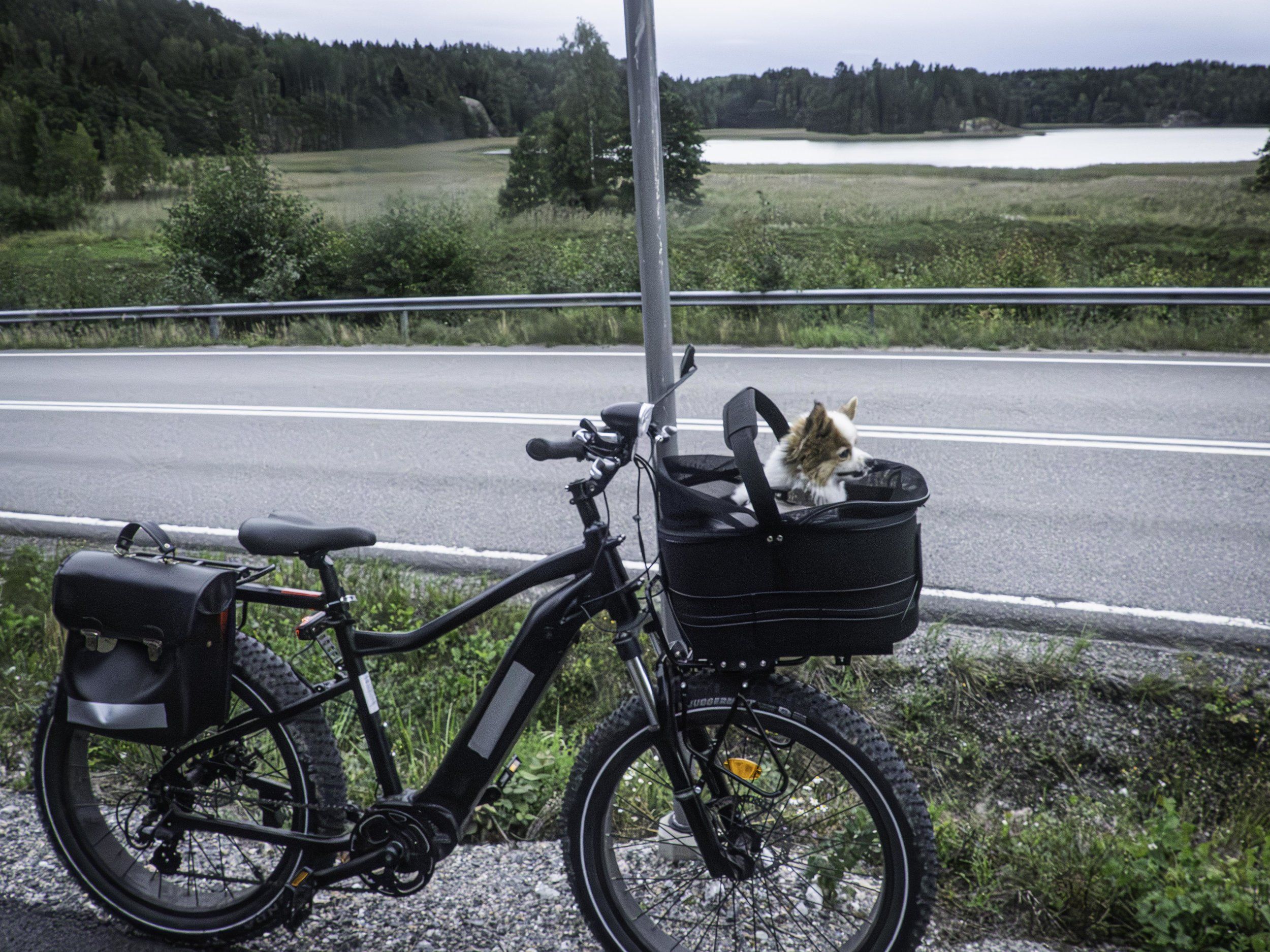 _1410386-Förbättrat-BR.jpg