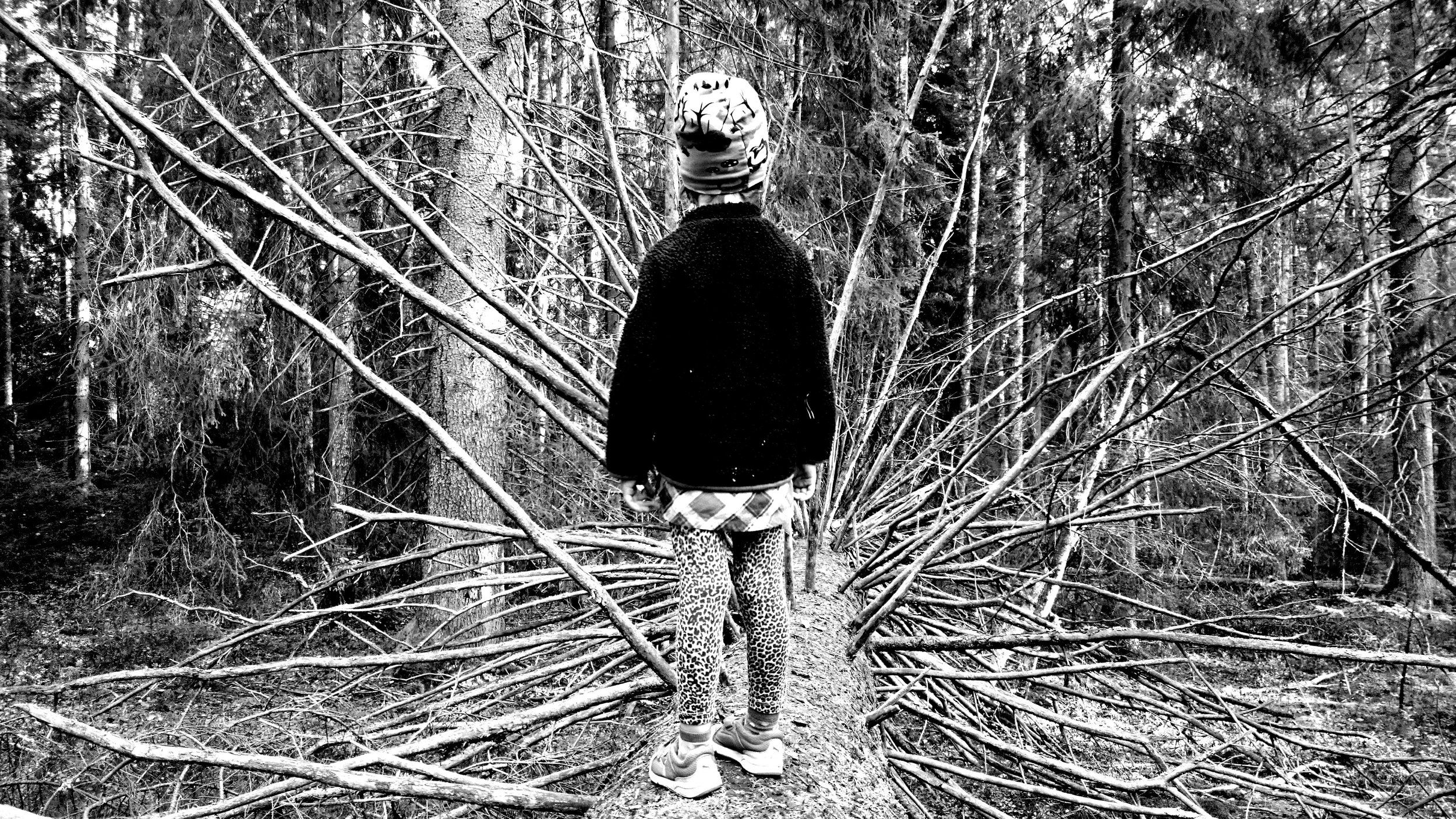 _20151003_161253.JPG