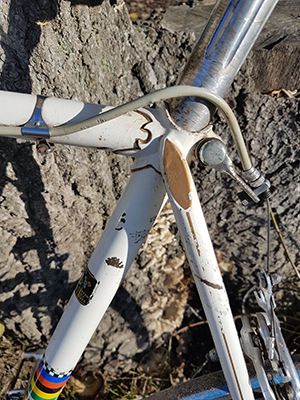 _20171016_145149.jpg