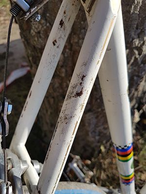 _20171016_145502.jpg