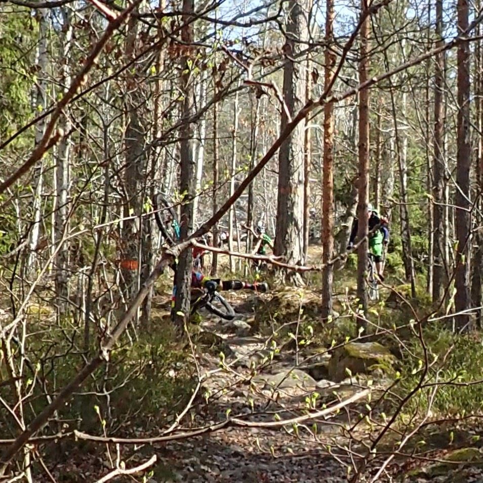 _20190422_162204.JPG