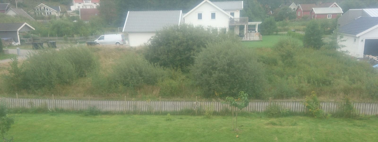 _20190821_075837.JPG
