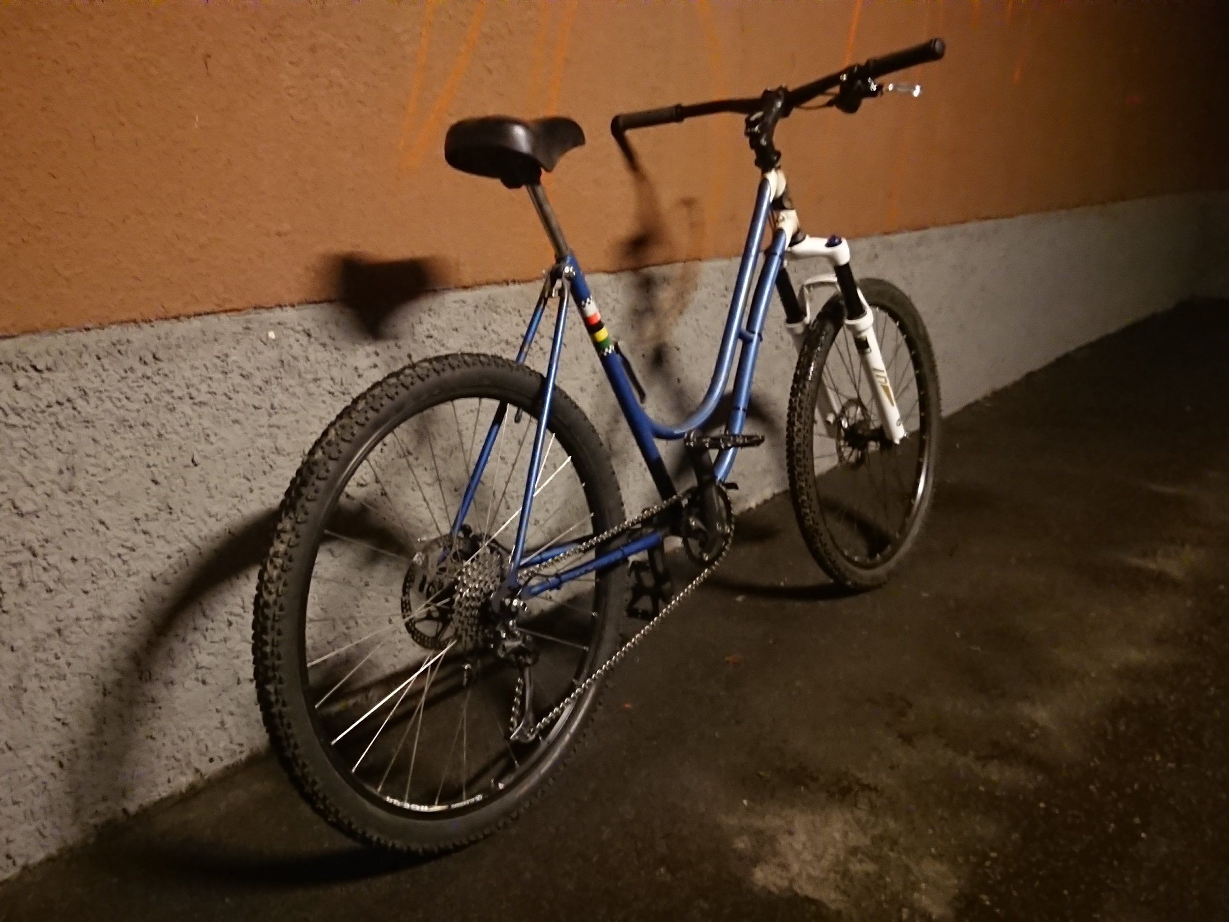 _20210127_065209.JPG