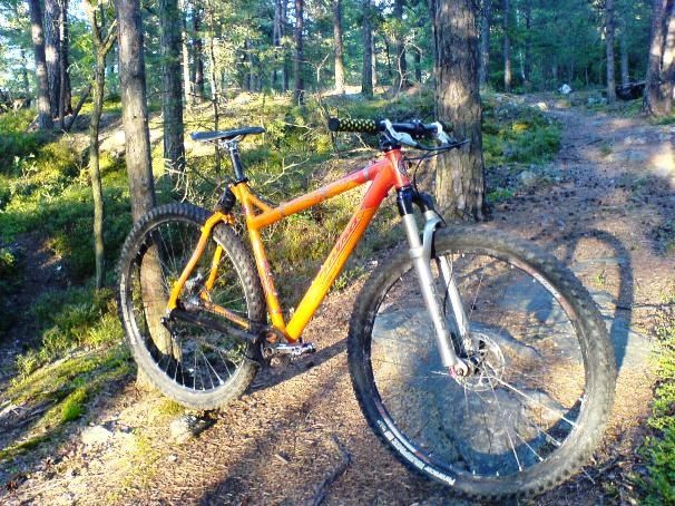 _29er_dosniner_DSC02866.JPG ht=454