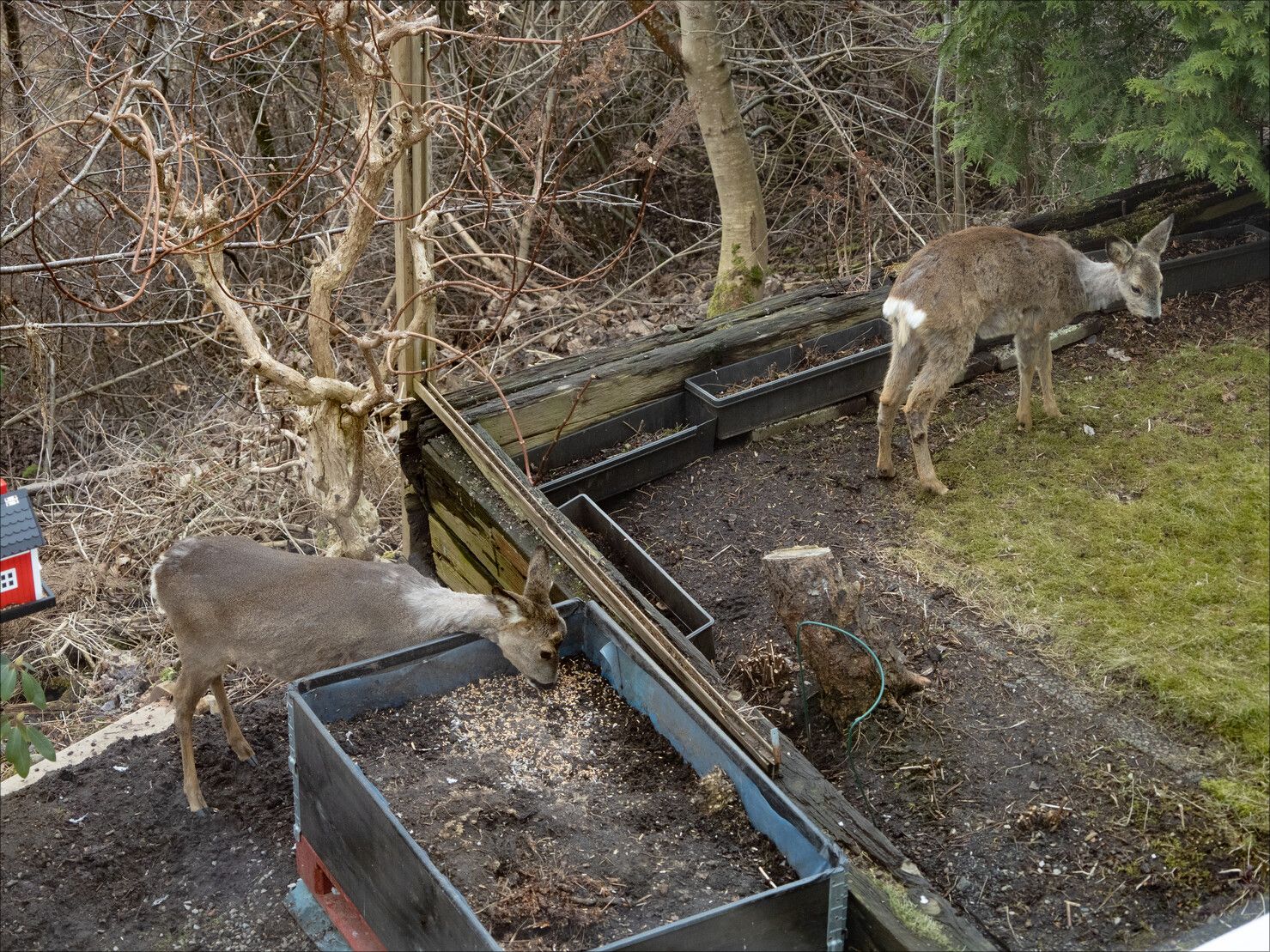 _3140616.jpg