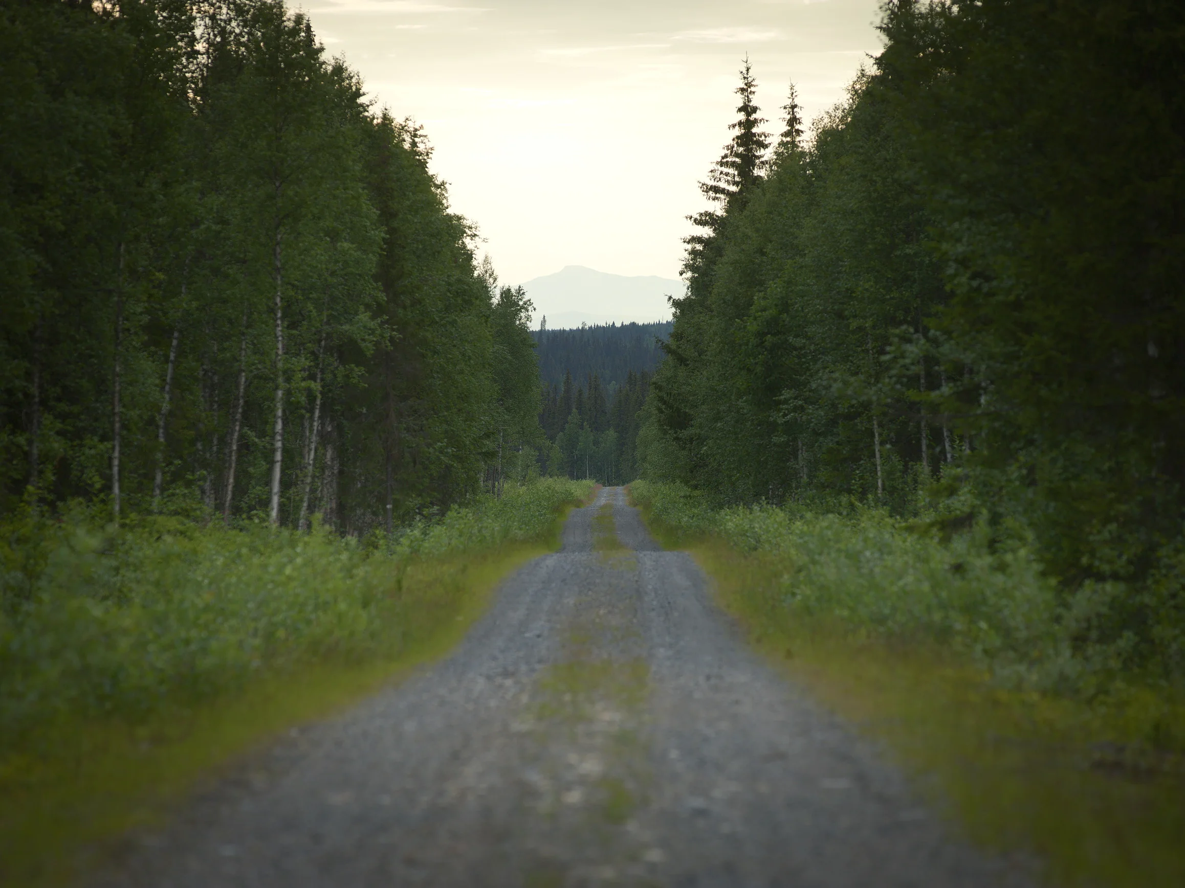_49Y9526-1.webp