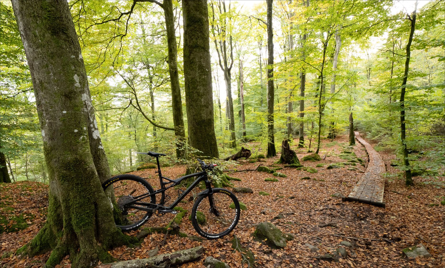 _A131206.jpg