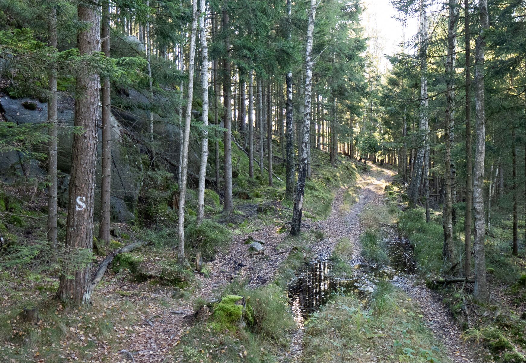 _A151283.jpg