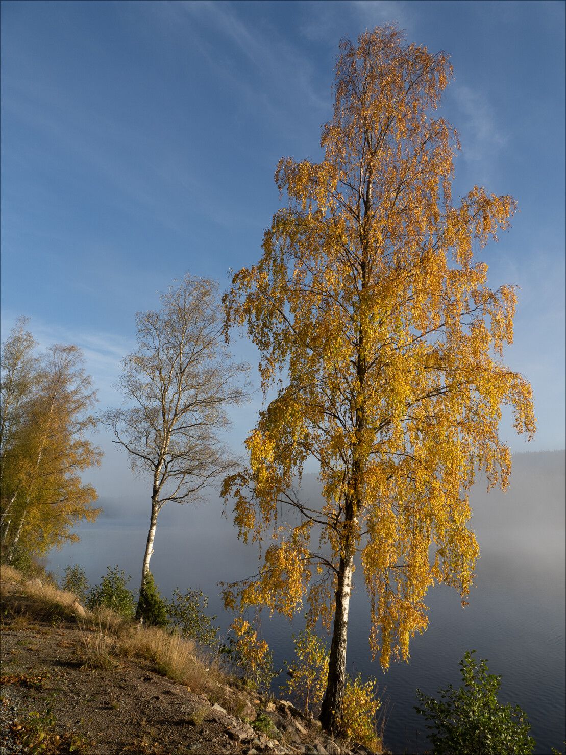 _A170266.jpg