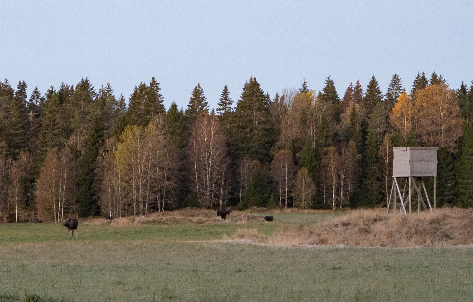 _A180430.jpg