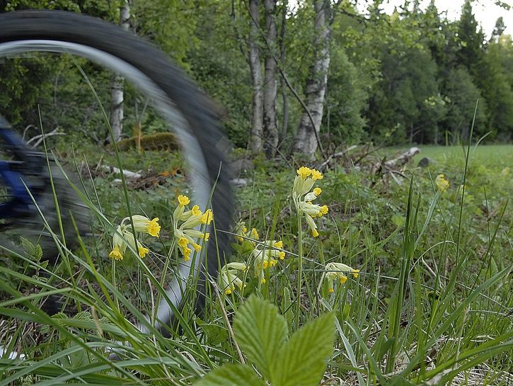 _DSC0156.JPG