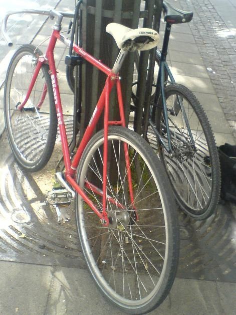 _DSC01753.JPG ht=628