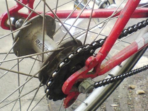 _DSC01754.JPG ht=379