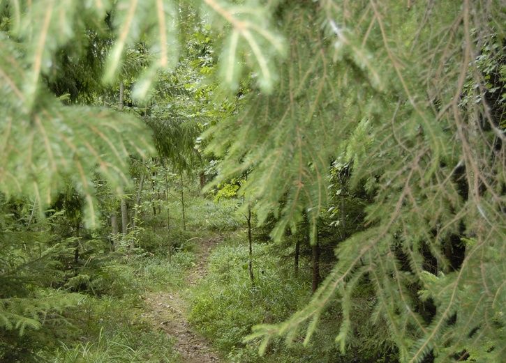 _DSC0404.JPG