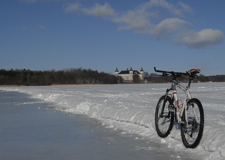 _DSC0567.JPG ht=514