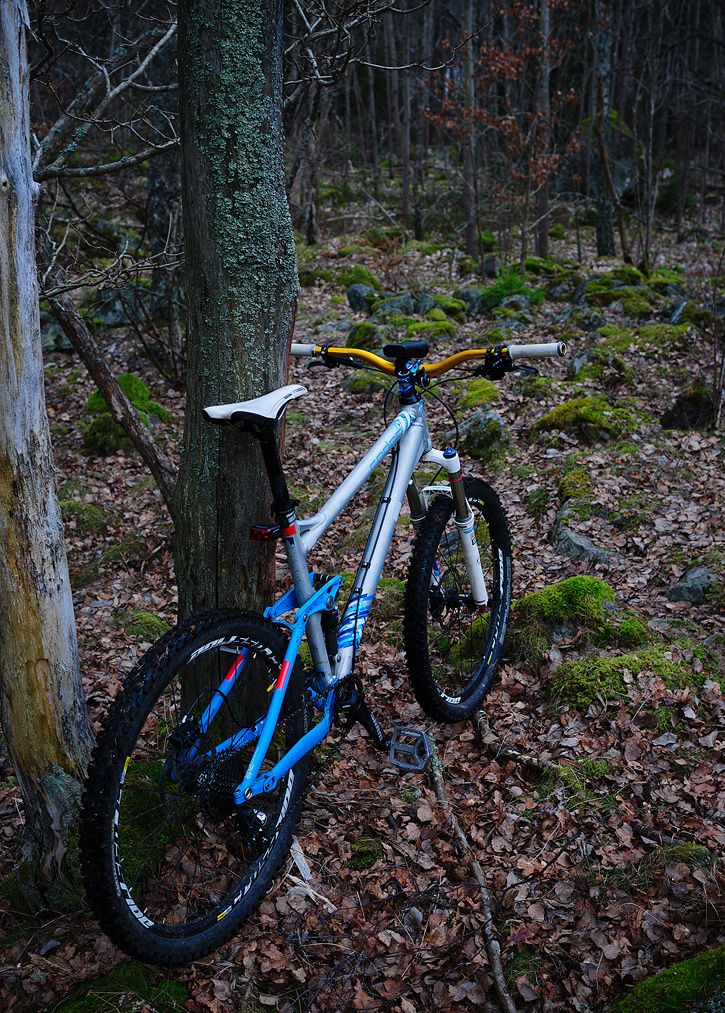 _DSC0685.jpg