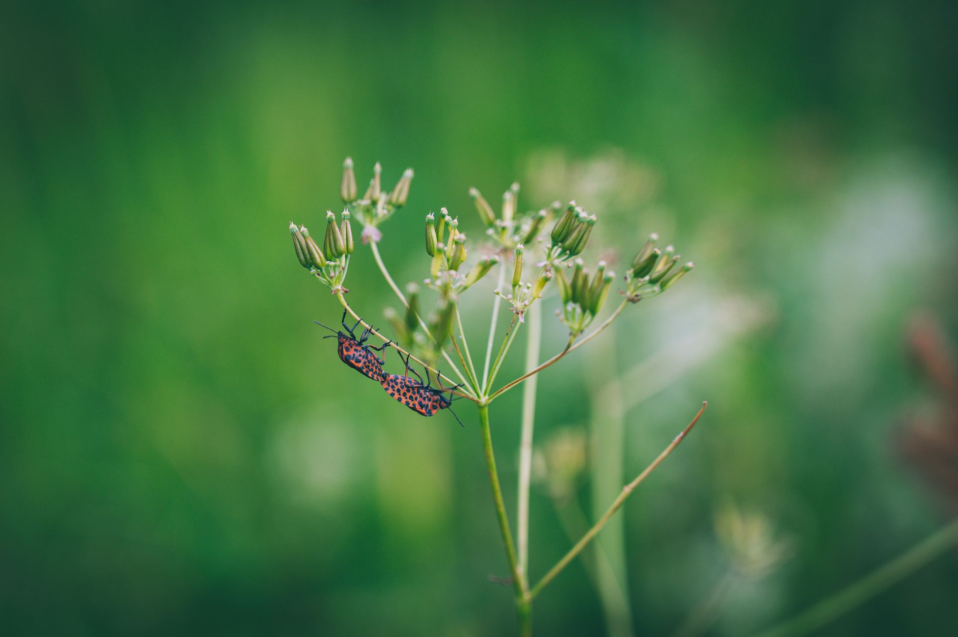 _DSC0758_Small.jpg