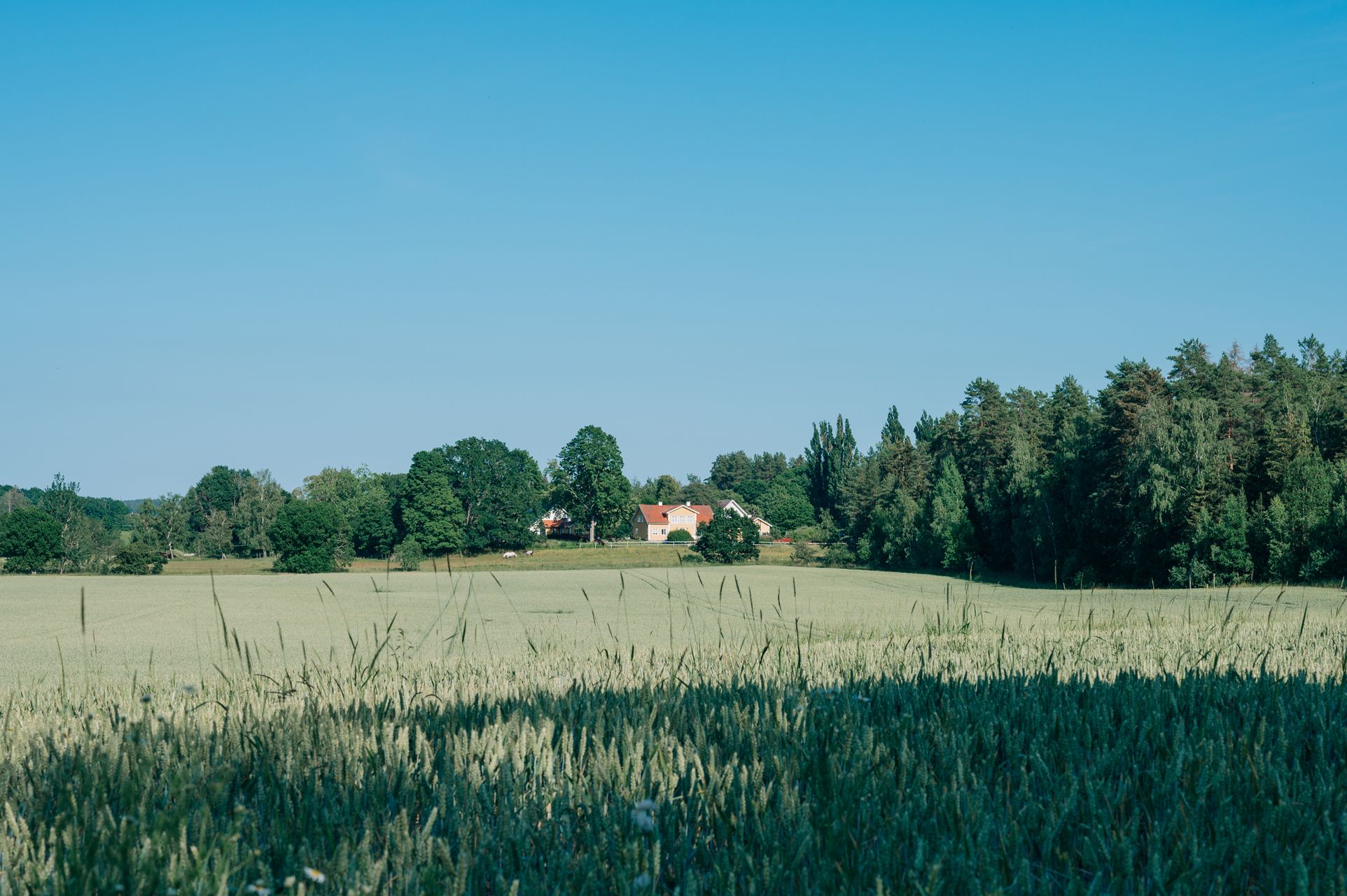 _DSC1115_Small.jpg
