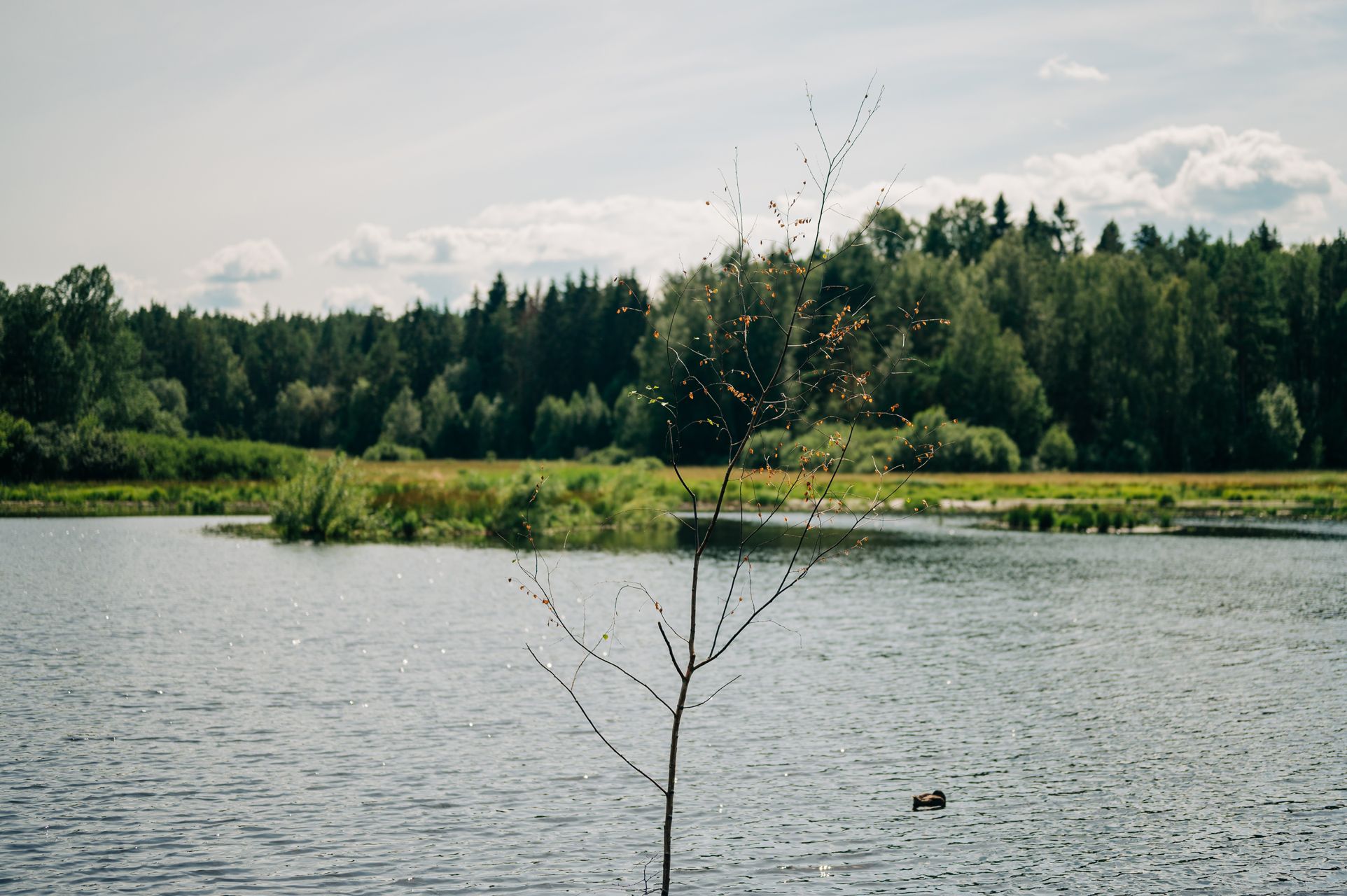 _DSC1210_Small.jpg