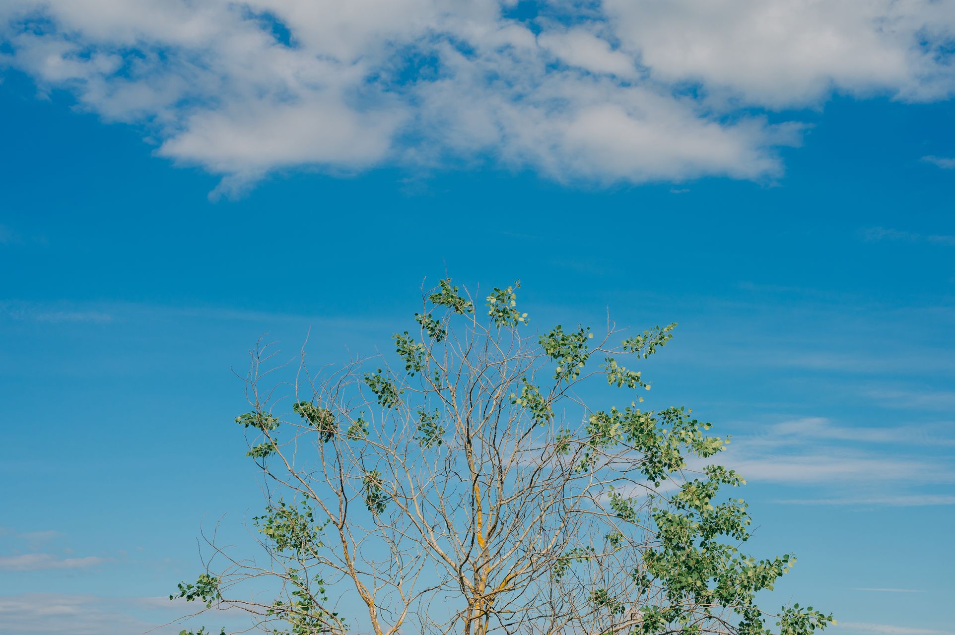 _DSC1487_Small.jpg