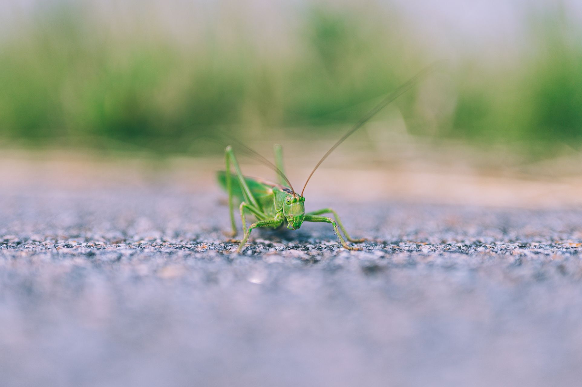 _DSC1656_Small.jpg