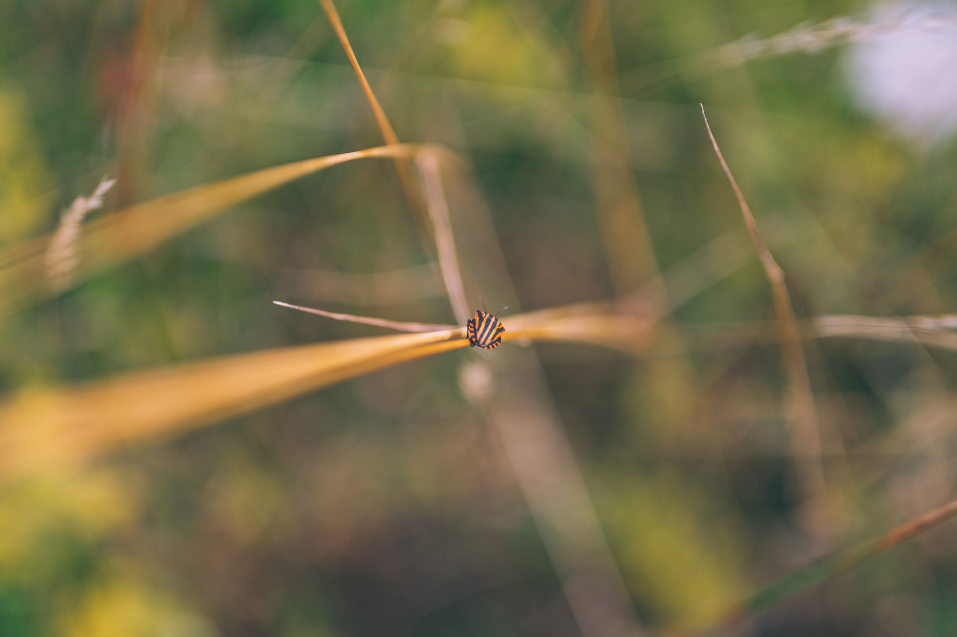 _DSC1734_Small.jpg