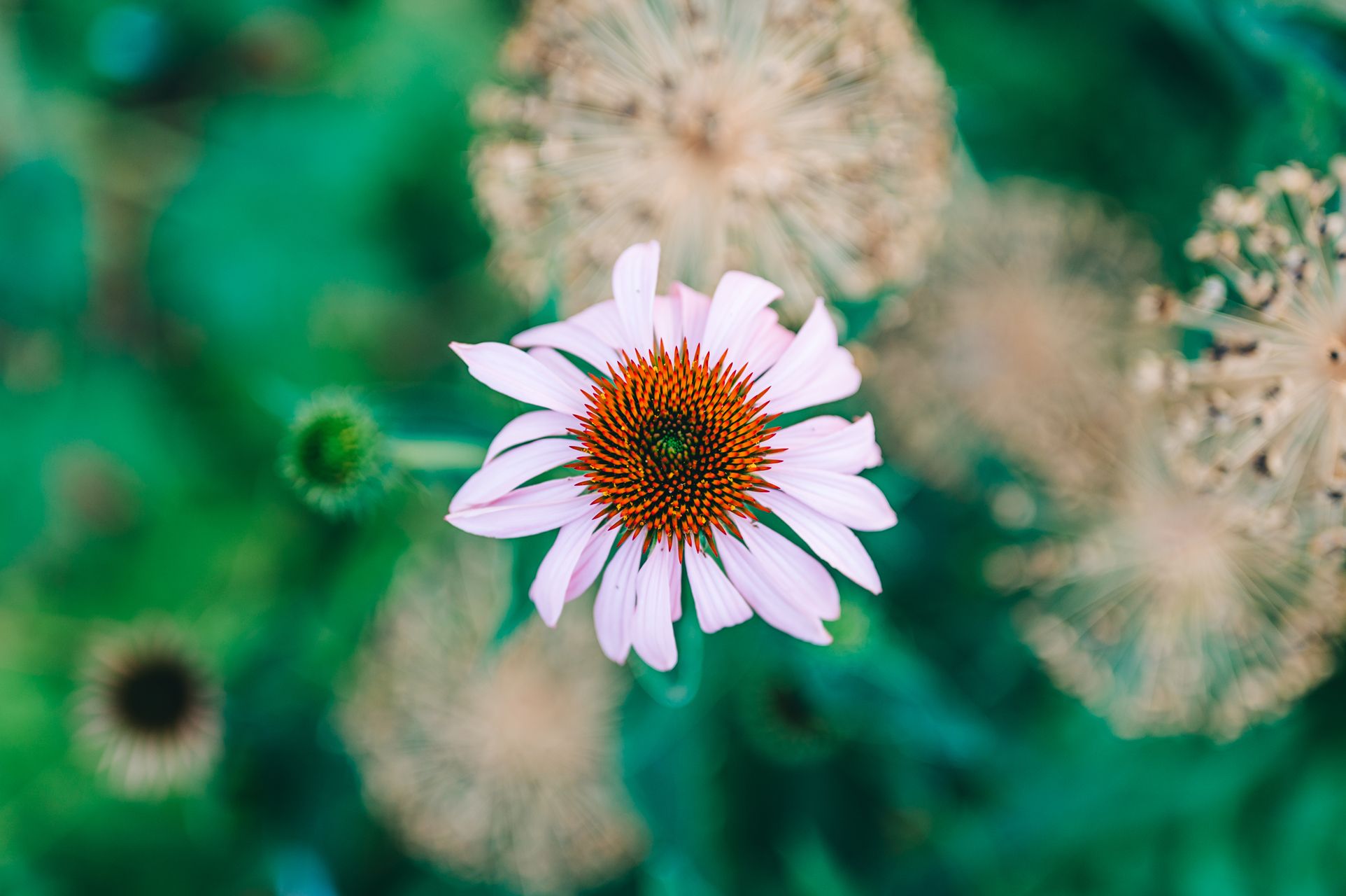 _DSC2122_Small.jpg
