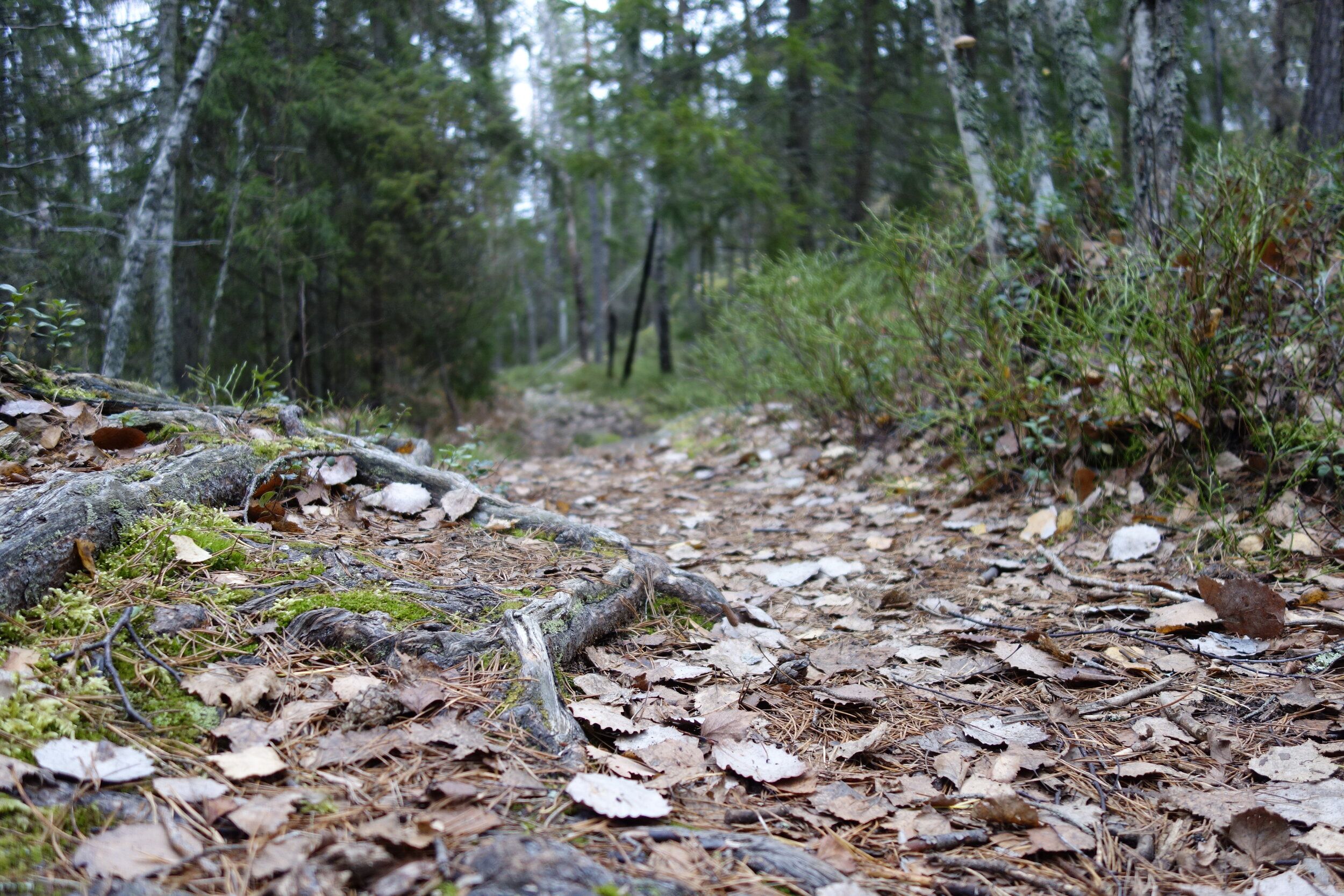 _DSC2136.JPG