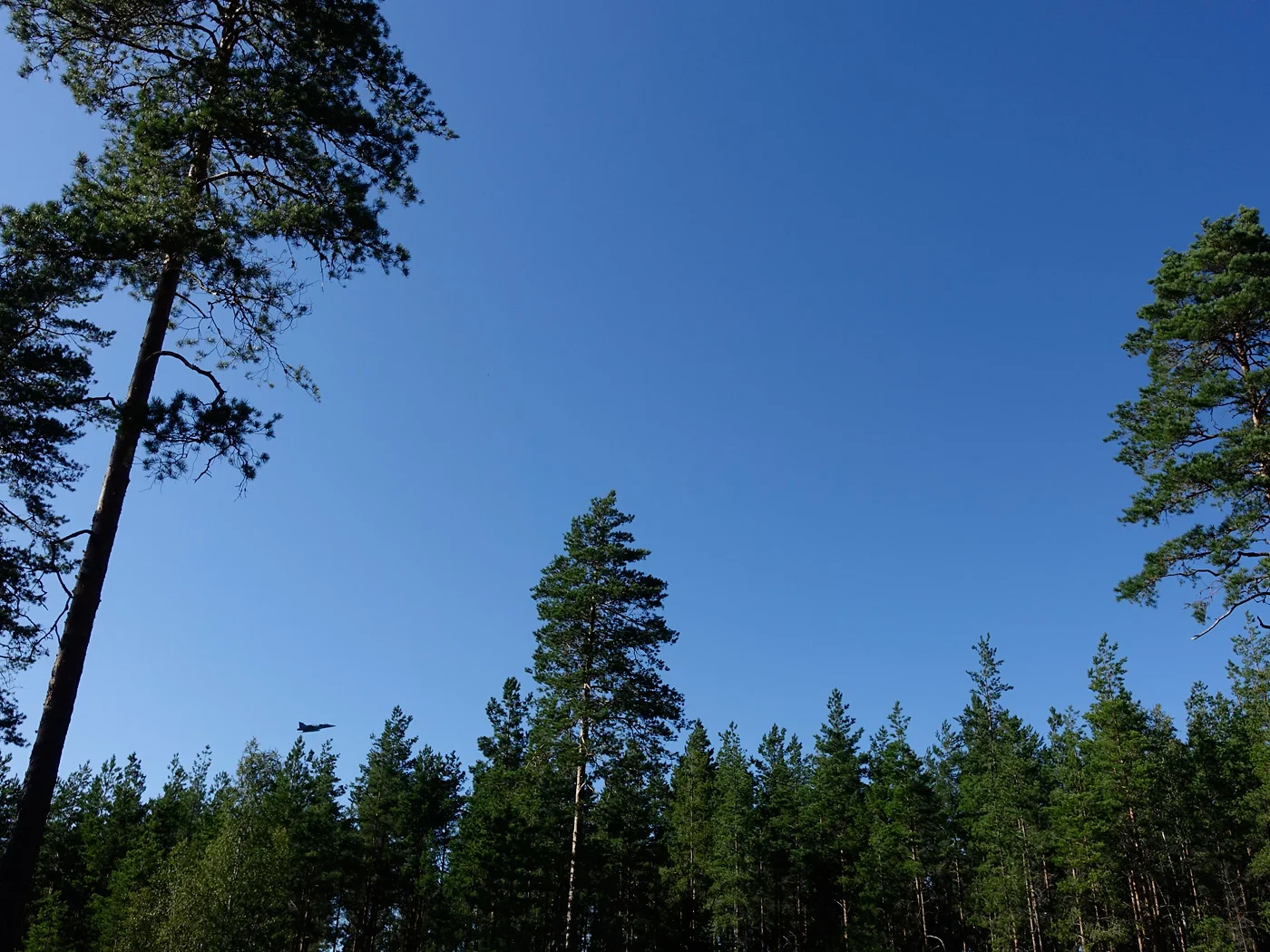 _DSC2139_1400.webp
