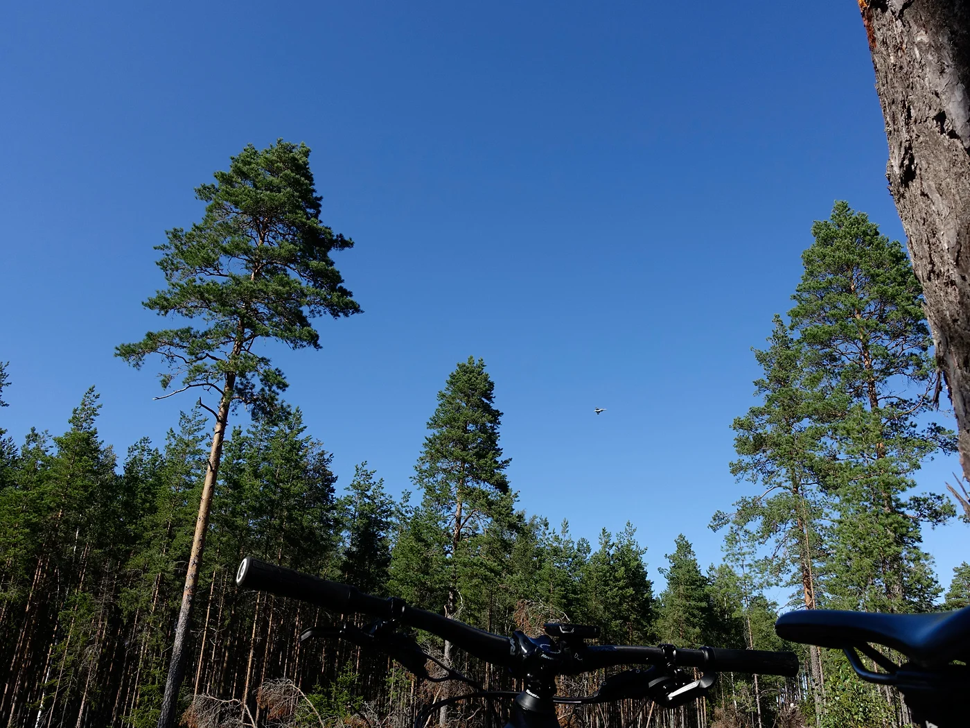 _DSC2140_1400.webp