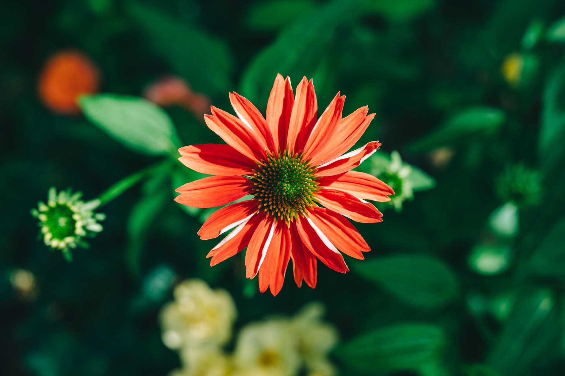 _DSC2385_Small.jpg