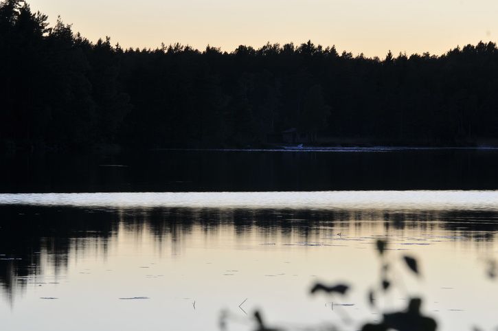 _DSC3047.JPG