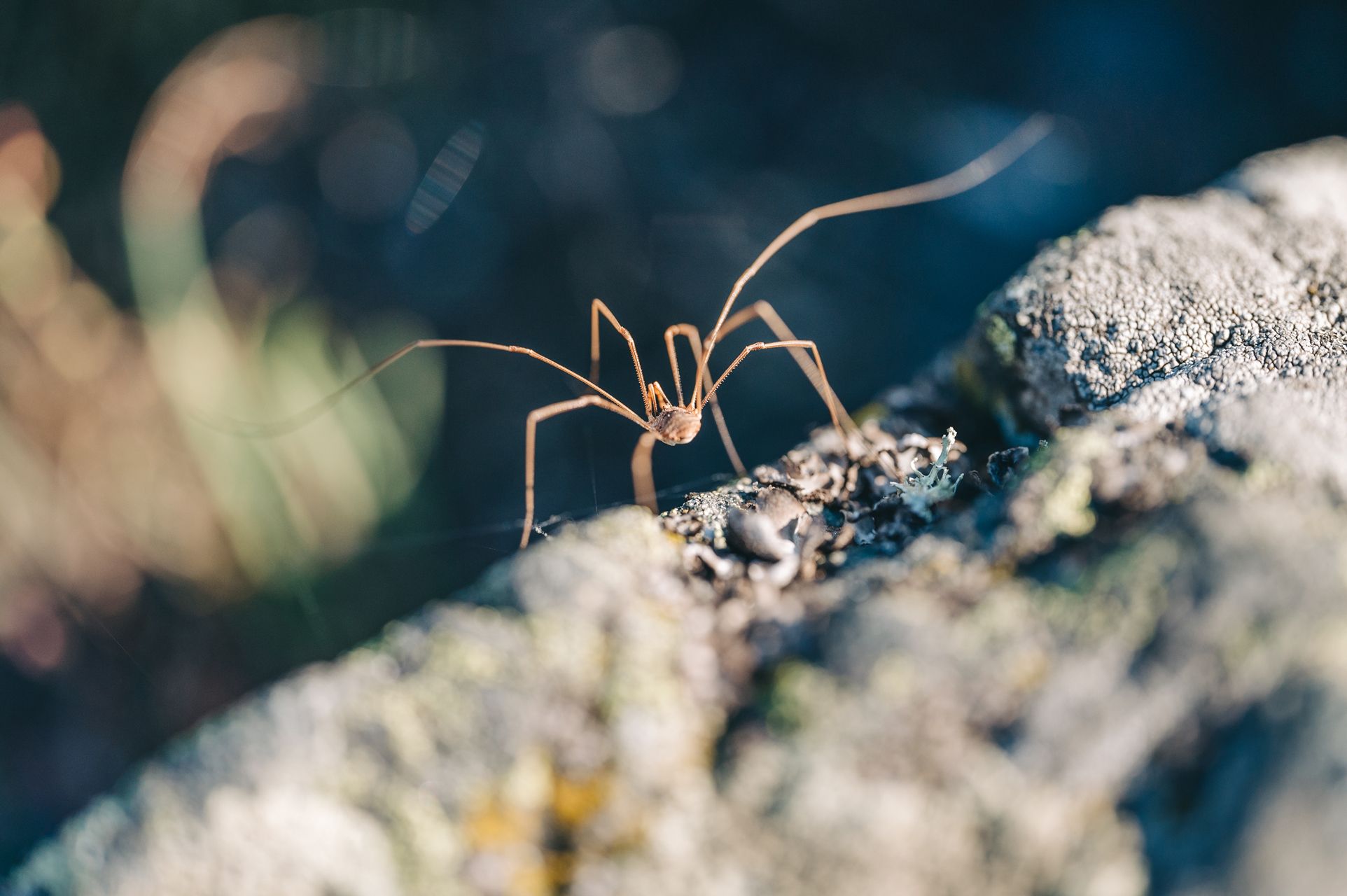 _DSC3076_Small.jpg