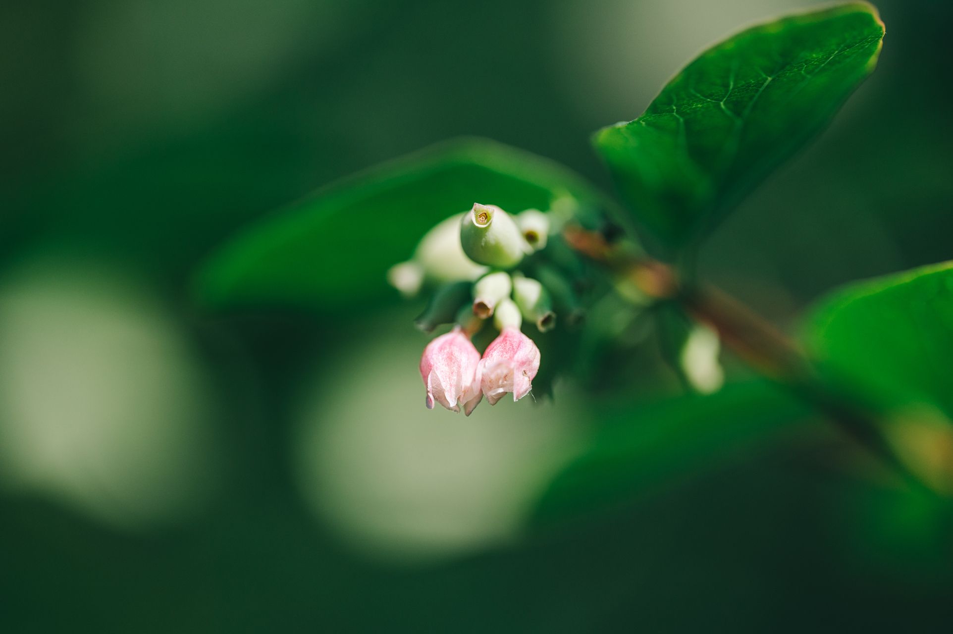 _DSC3446_Small.jpg