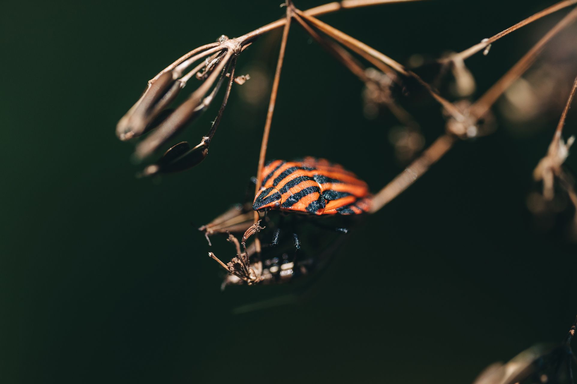 _DSC3582_Small.jpg