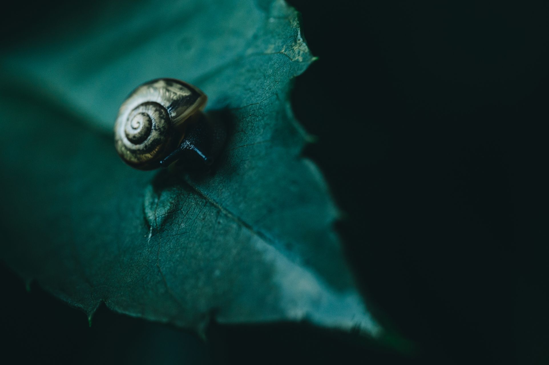 _DSC3793_Small.jpg