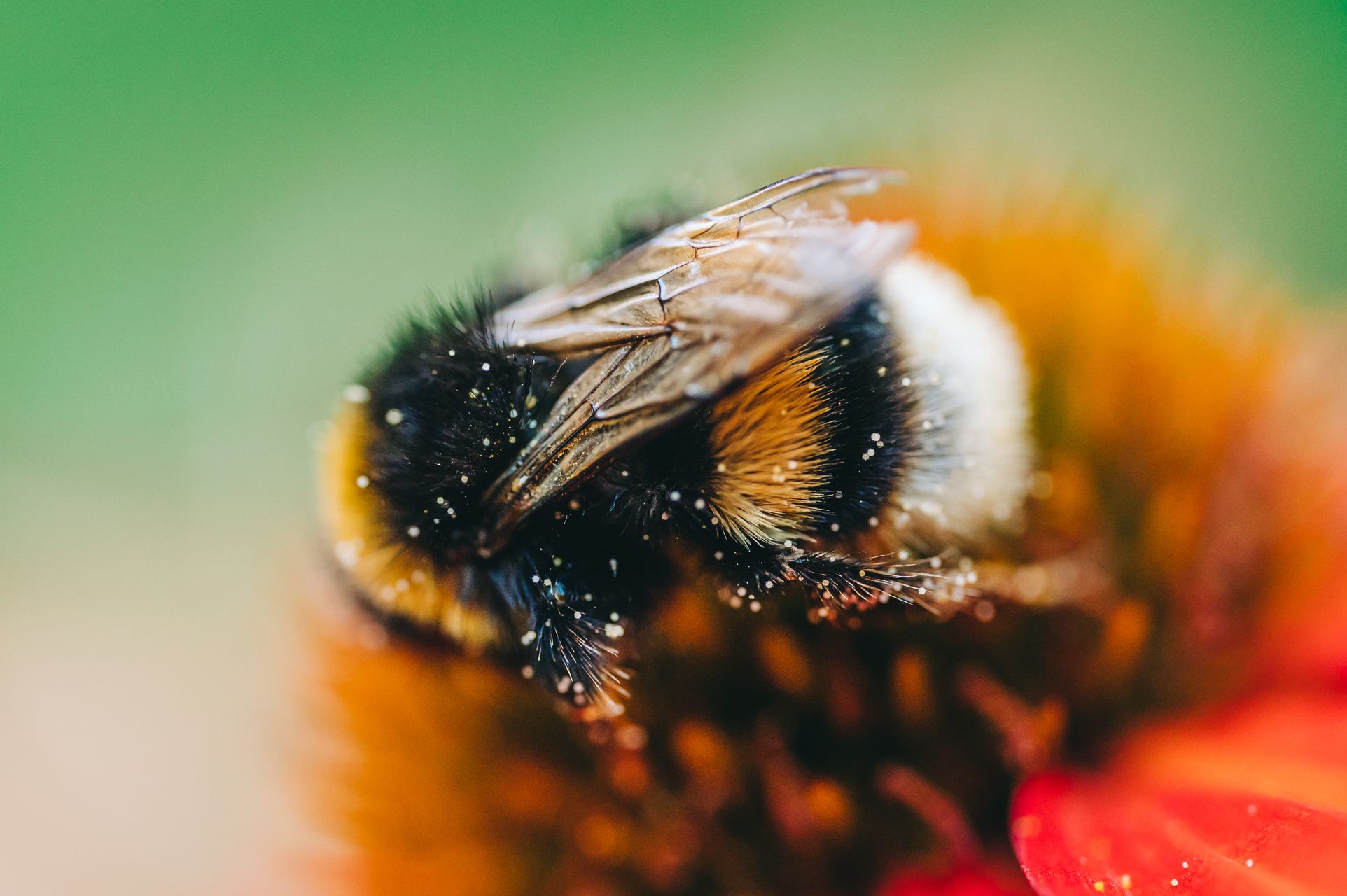 _DSC4035_Small.jpg