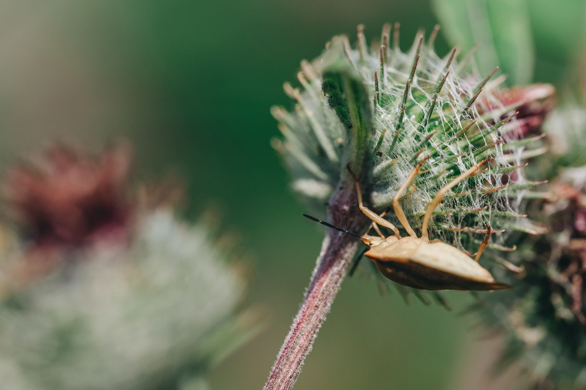 _DSC4070_Small.jpg