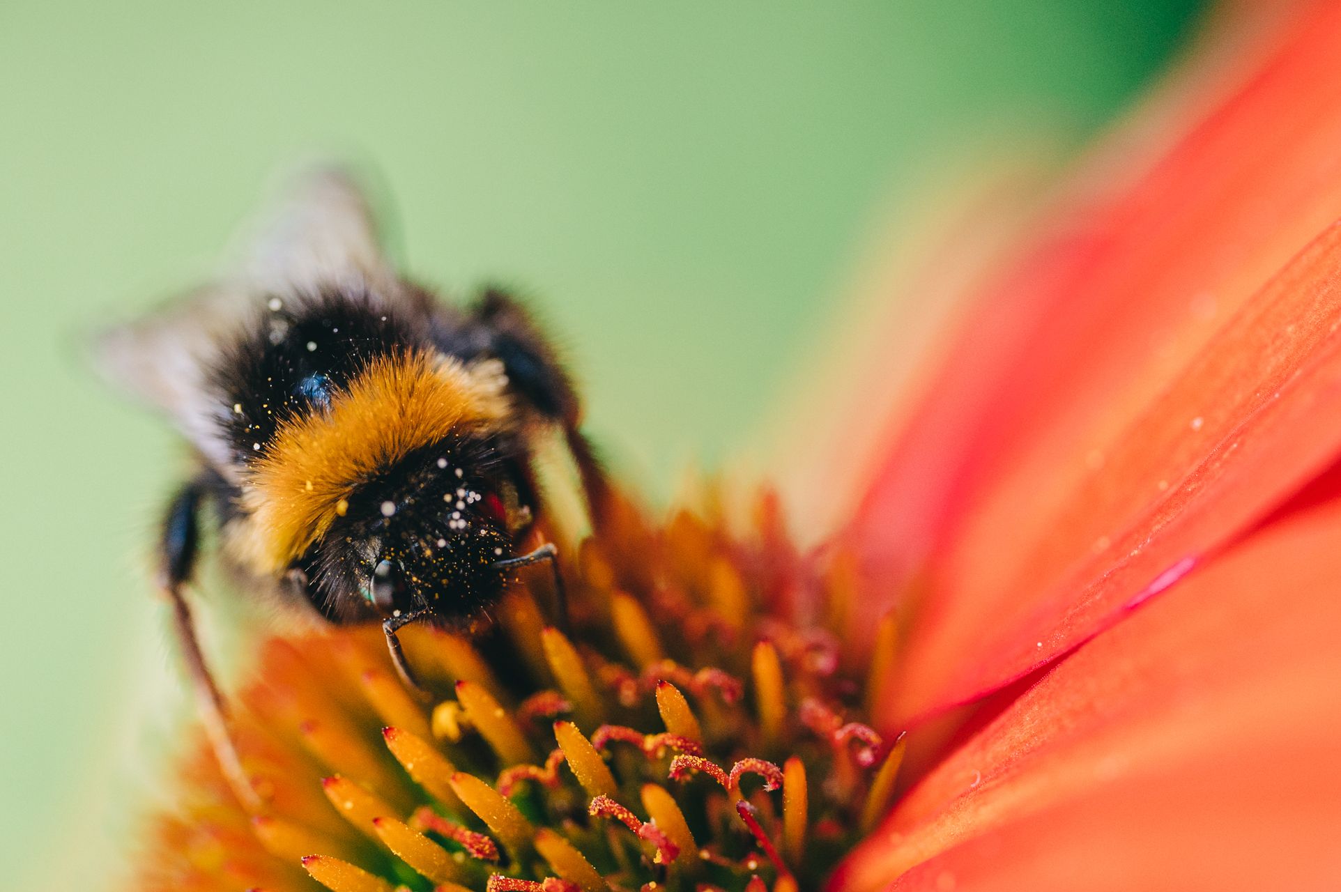 _DSC4124_Small.jpg