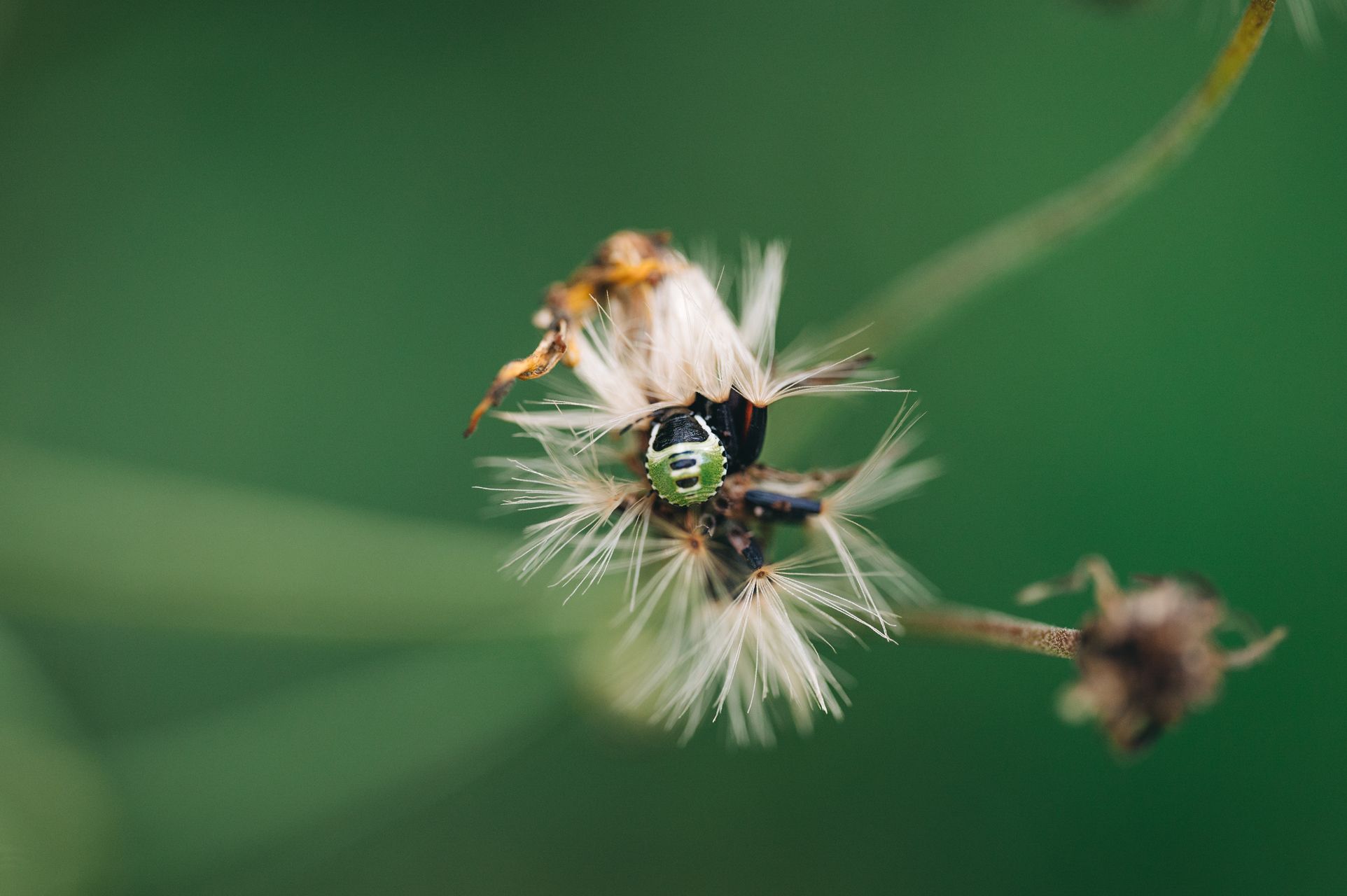 _DSC4526_Small.jpg