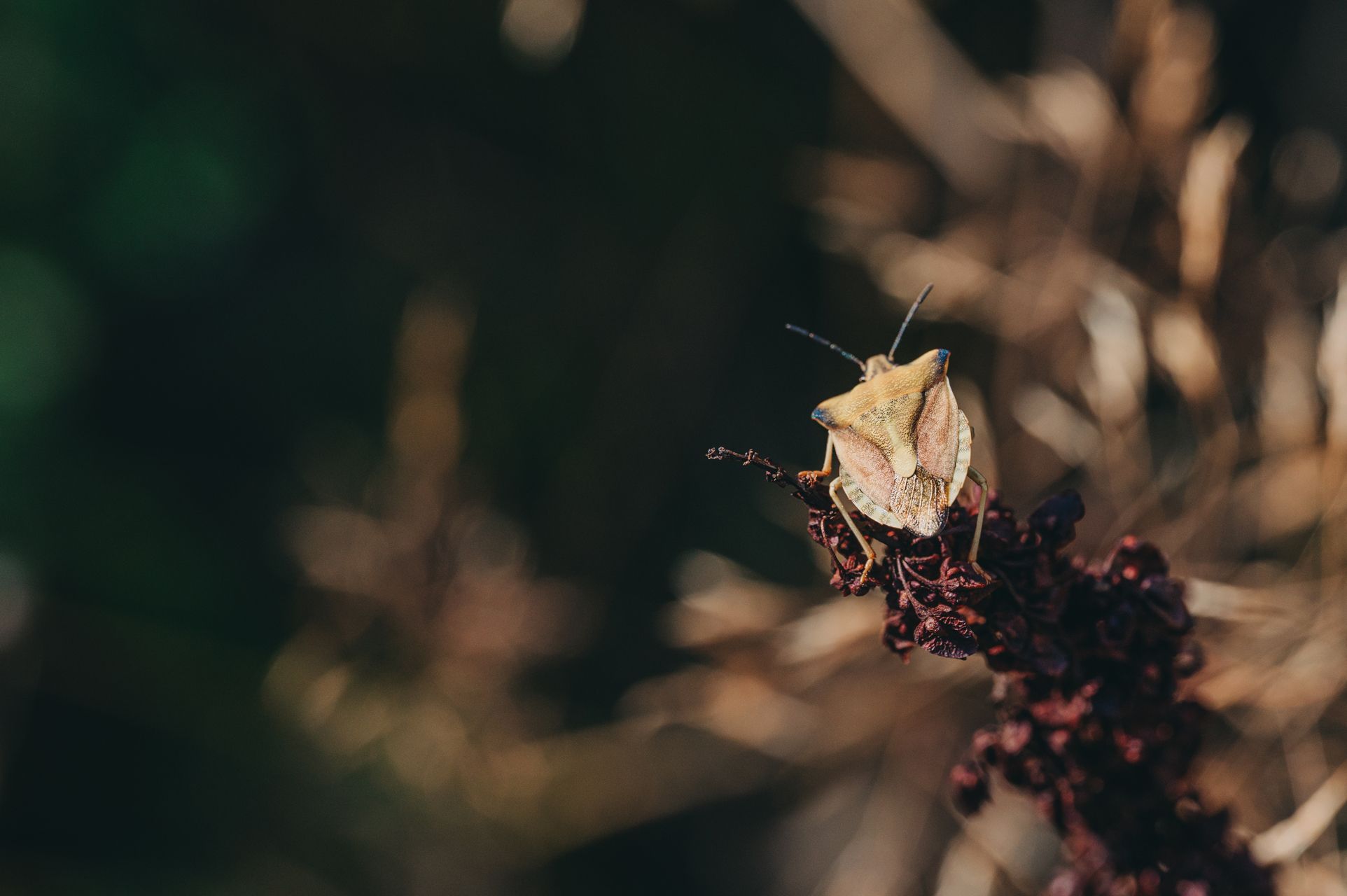 _DSC4563_Small.jpg