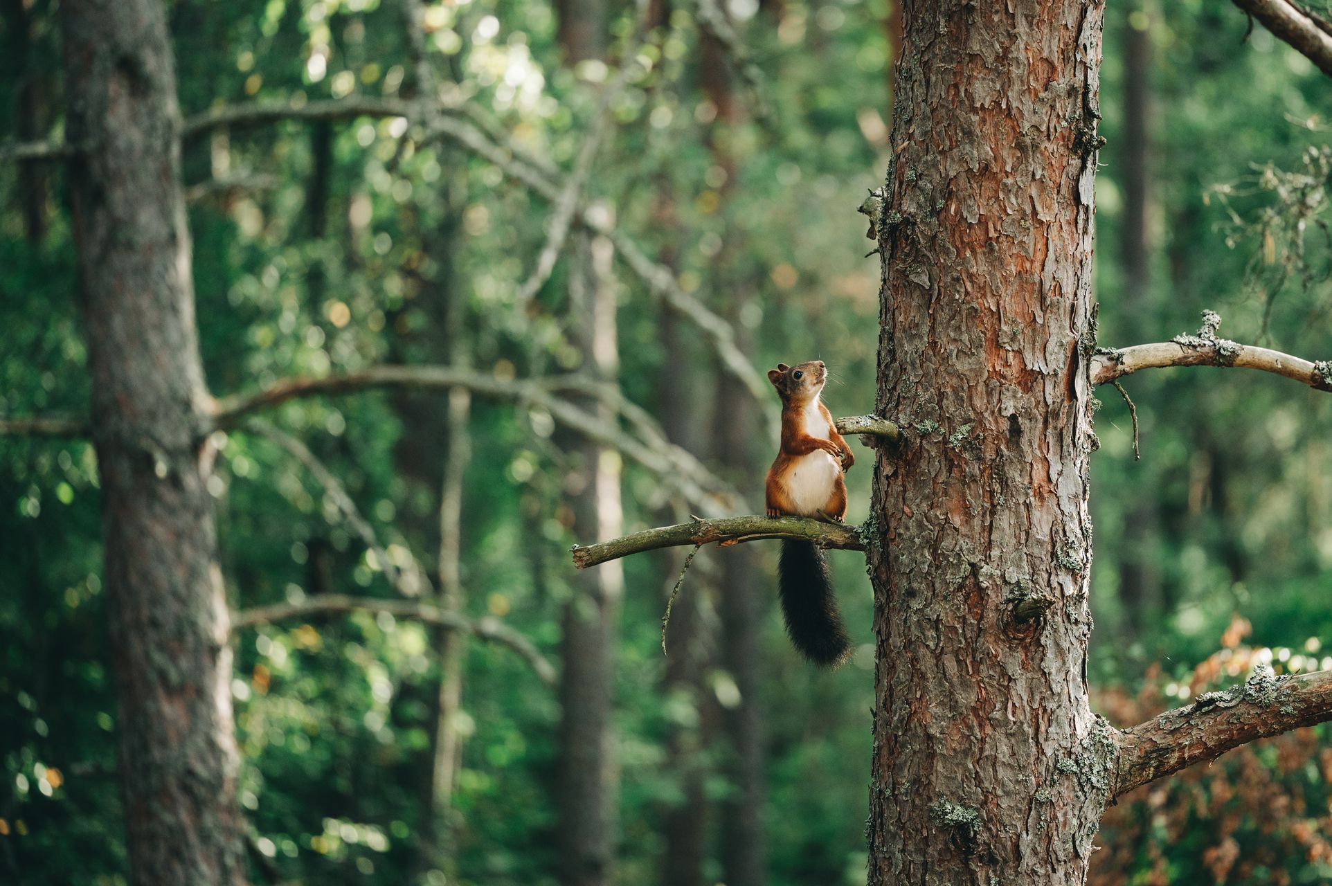 _DSC4665_Small.jpg